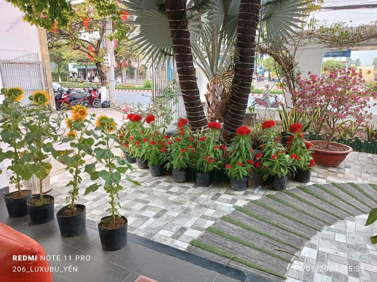 Mekong Hotel & Restaurant Ben Tre Eksteriør billede